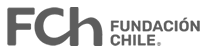 logo Fundacion Chile